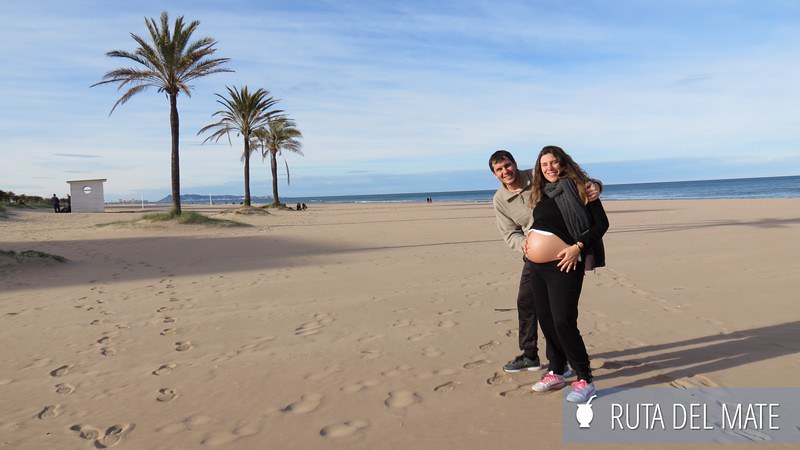 Consejos para viajar embarazada, 5 recomendaciones útiles 5 image 36