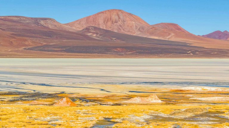 Best things to do in Brava Lagoon, Argentina