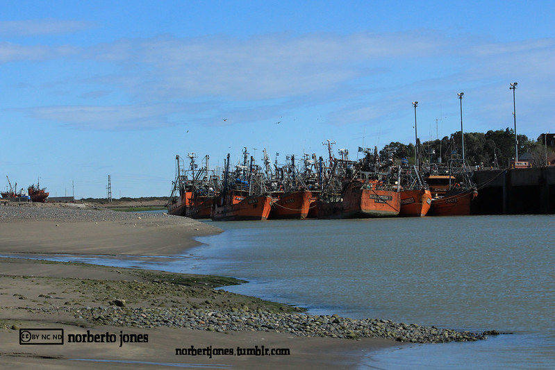 10 Things to Do in Trelew and Surroundings 9 Puerto Rawson-south coast CANVA