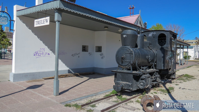 10 Things to Do in Trelew and Surroundings 8 Things to do in Trelew IMG_6450