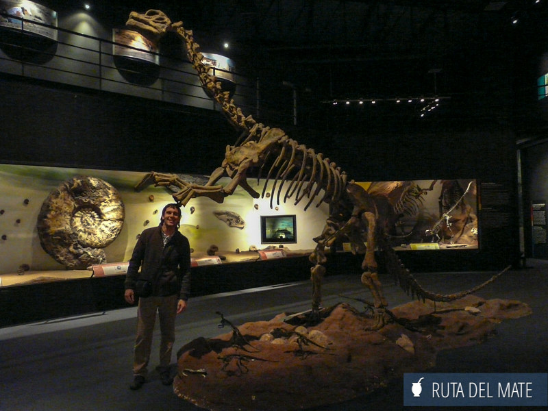 10 Things to Do in Trelew and Surroundings 5 Things to do in Trelew and Gaiman 005