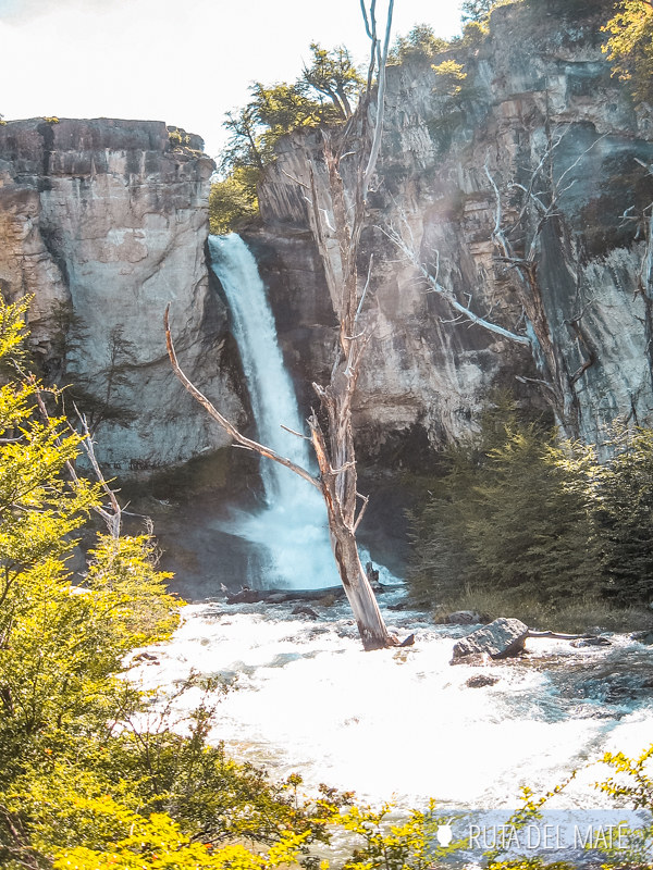 Guide to the Best Trekkings in El Chaltén 16 Chorrillo del Salto, one of the easiest trekkings in El Chaltén