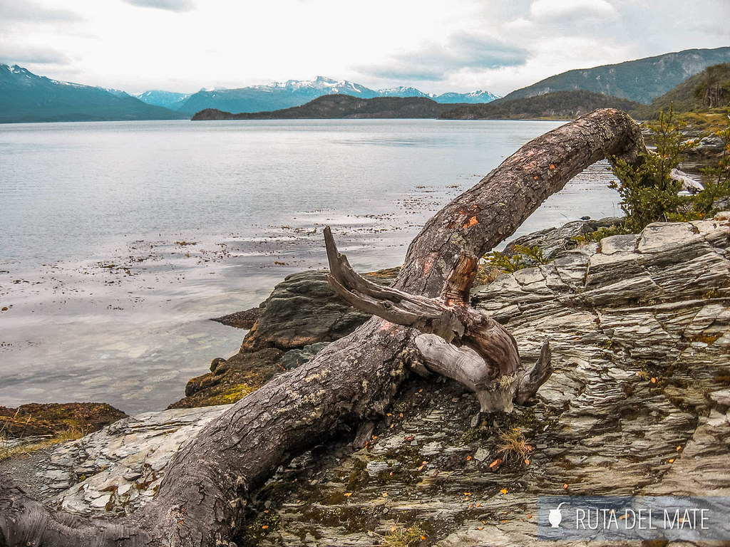 The 6 Best Tours in Ushuaia 3 50460351291 0ece5c4cd6 b