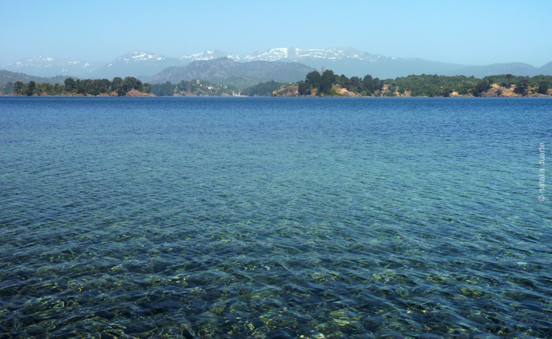 Pehuenia